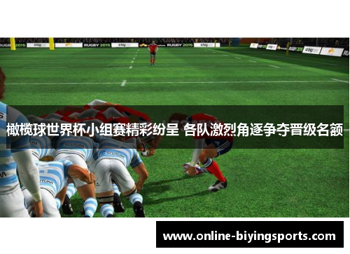 橄榄球世界杯小组赛精彩纷呈 各队激烈角逐争夺晋级名额
