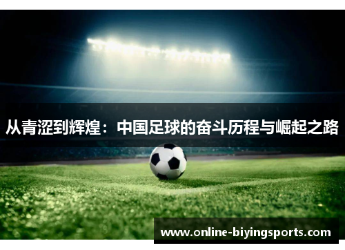 从青涩到辉煌：中国足球的奋斗历程与崛起之路