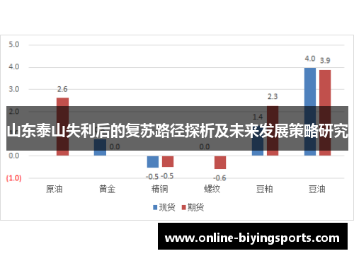 山东泰山失利后的复苏路径探析及未来发展策略研究