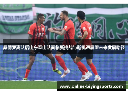 桑德罗离队后山东泰山队面临新挑战与新机遇展望未来发展路径