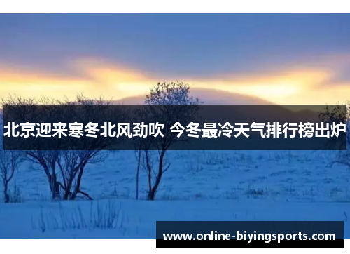 北京迎来寒冬北风劲吹 今冬最冷天气排行榜出炉