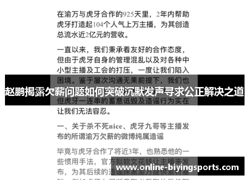 赵鹏揭露欠薪问题如何突破沉默发声寻求公正解决之道