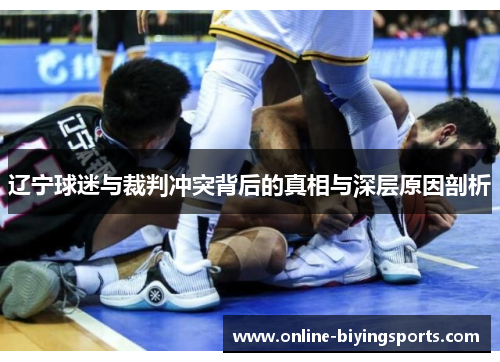 辽宁球迷与裁判冲突背后的真相与深层原因剖析