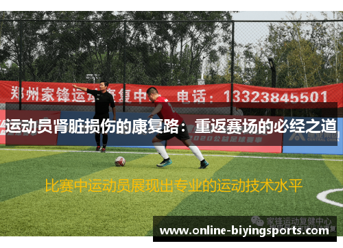 运动员肾脏损伤的康复路：重返赛场的必经之道